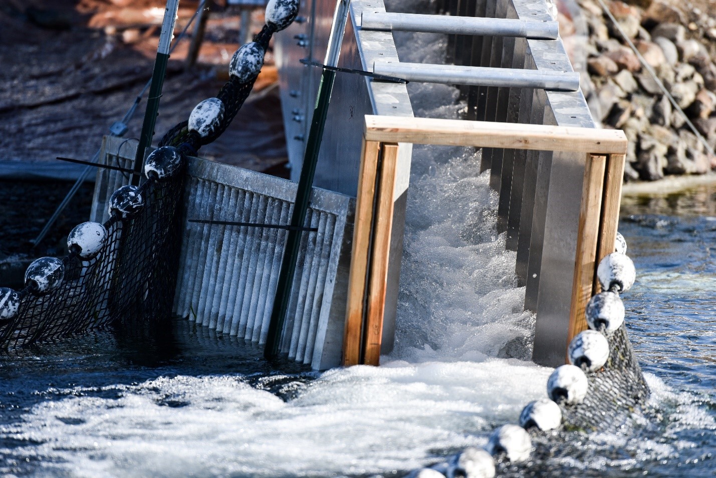 A Benefishal Solution for Salmon and Steelhead Passage PNNL